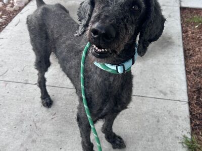 Hello my name is Benny