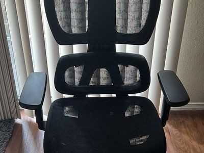 Ergonomic Chair w/ Multiple Support