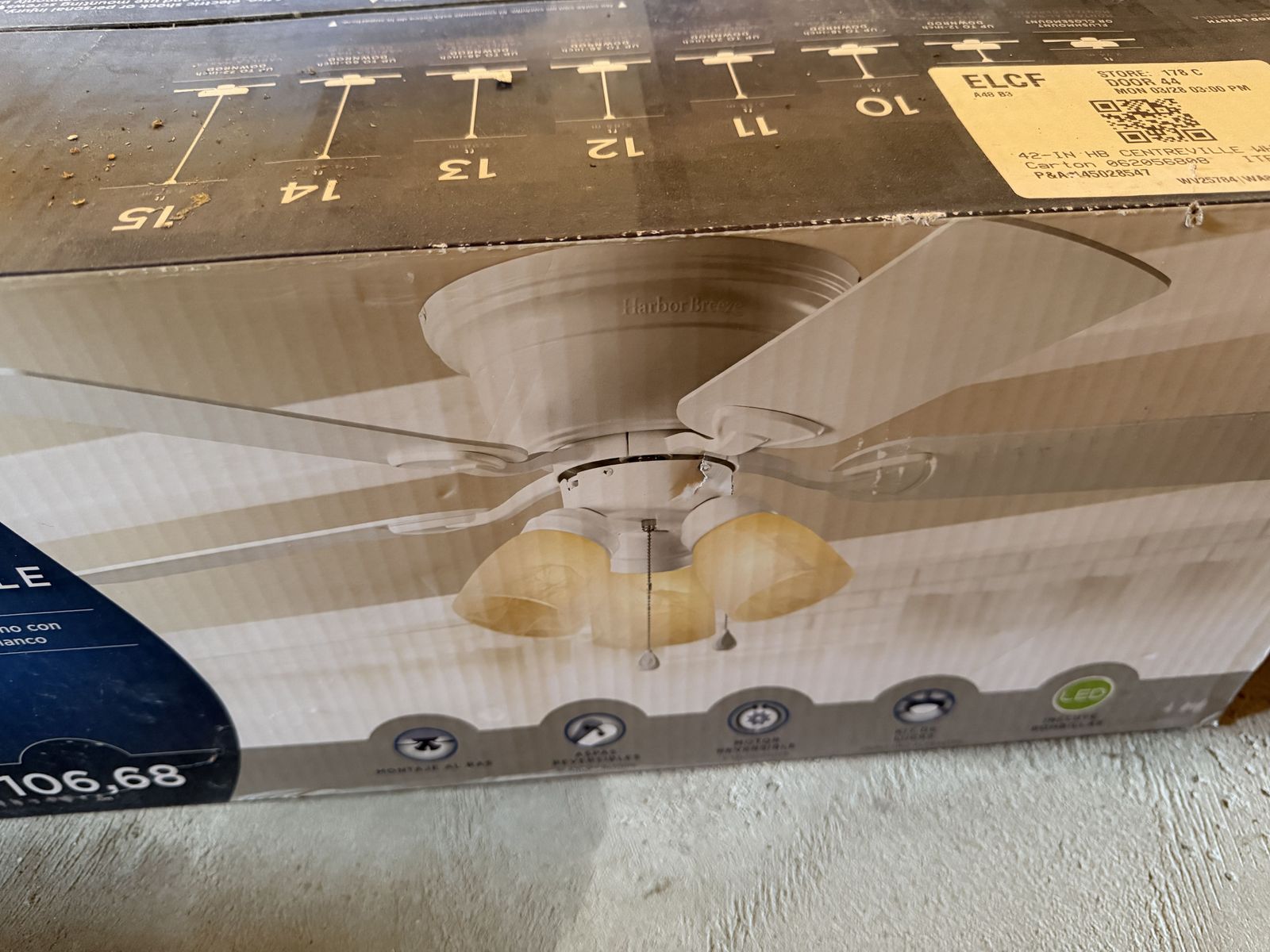 Ceiling fan/light