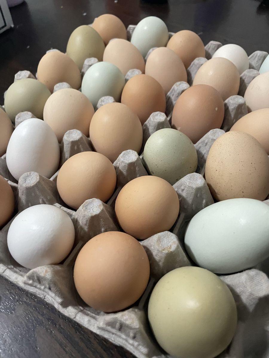 Pasture Raised Eggs
