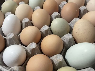 Pasture Raised Eggs