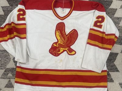 Vintage CCM Salt Lake Golden Eagles Hockey Jersey #2 Dahl Size 52