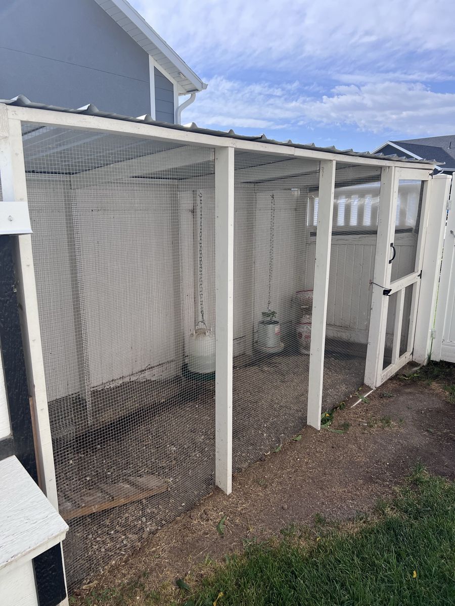 Large Custom-Built Chicken Run