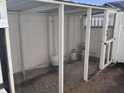 Large Custom-Built Chicken Run