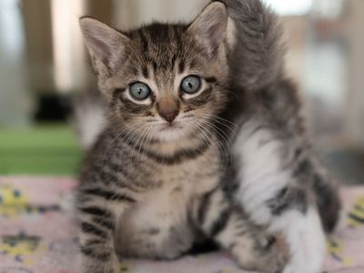 Hello my name is Styria