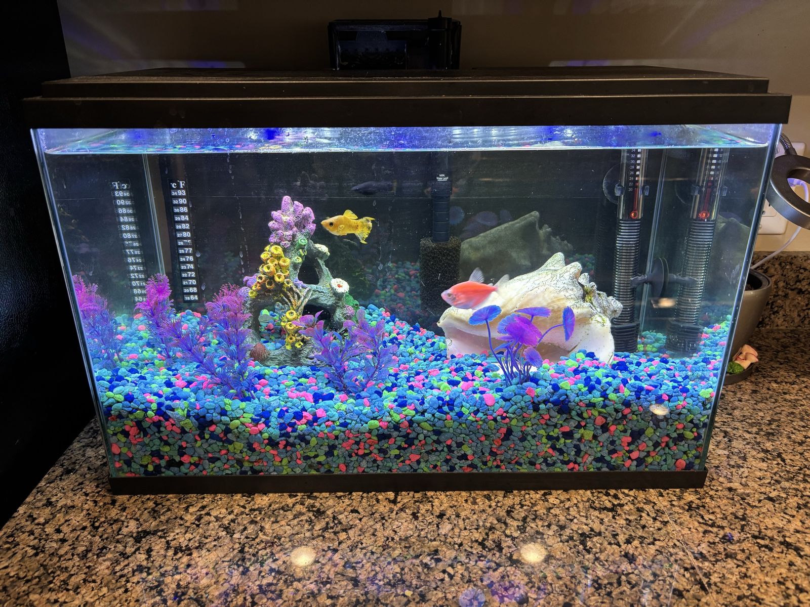 Fish tank