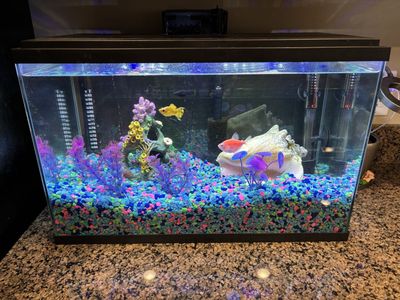 Fish tank