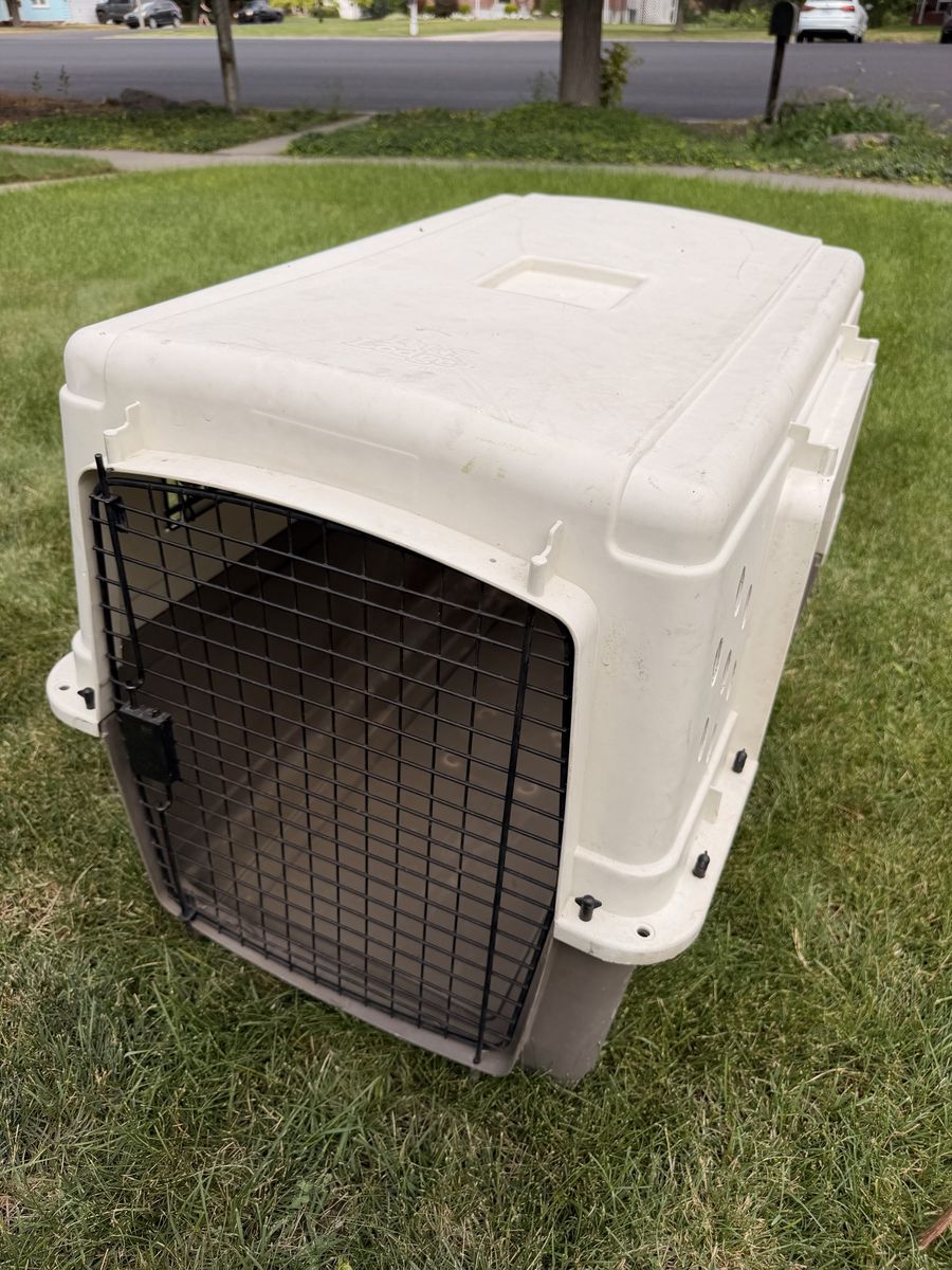 Pet Kennel Crate - Large, Heavy Duty Plastic with Metal Gate