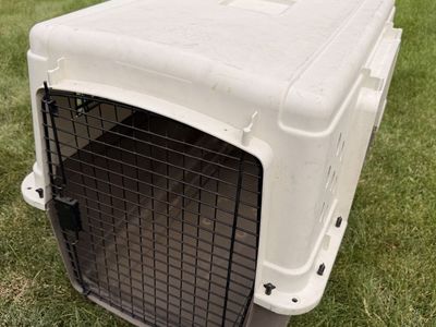 Pet Kennel Crate - Large, Heavy Duty Plastic with Metal Gate