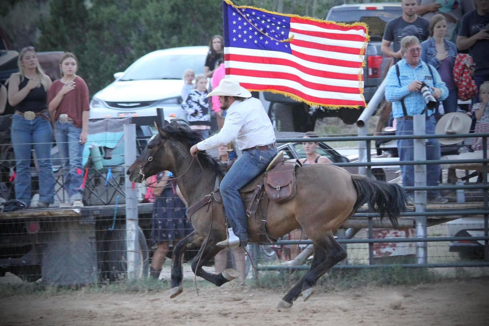 10 year old mare