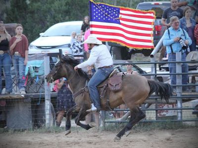 10 year old mare