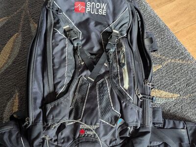 Snowpulse Avalanche Backpack