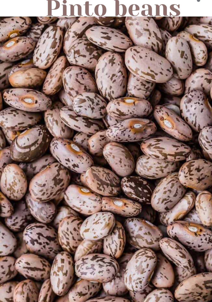 Beans 