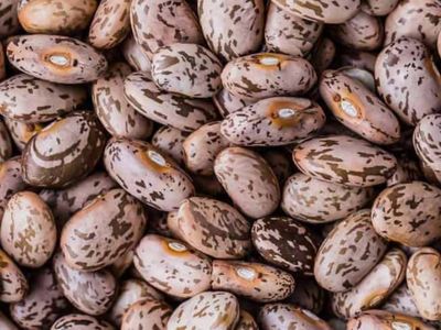 Beans