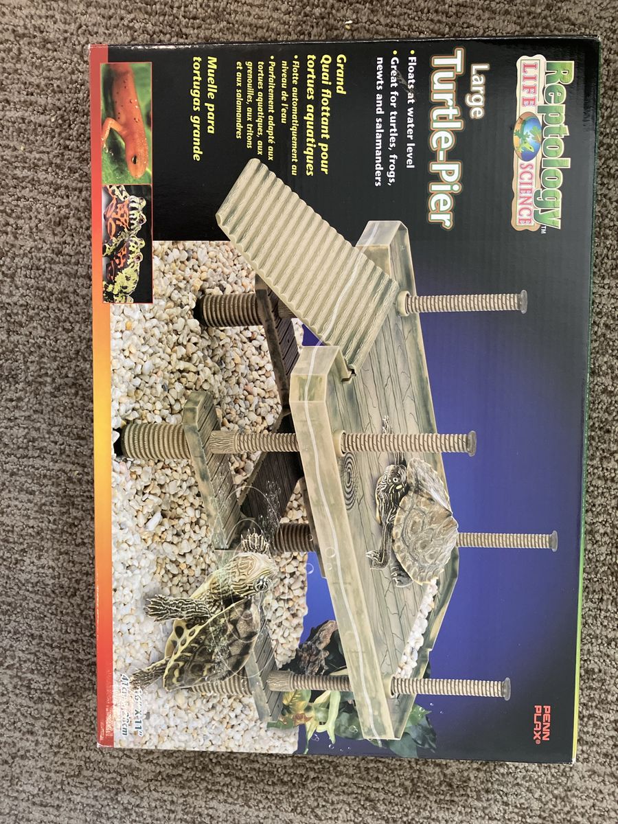 Turtle floating dock and food