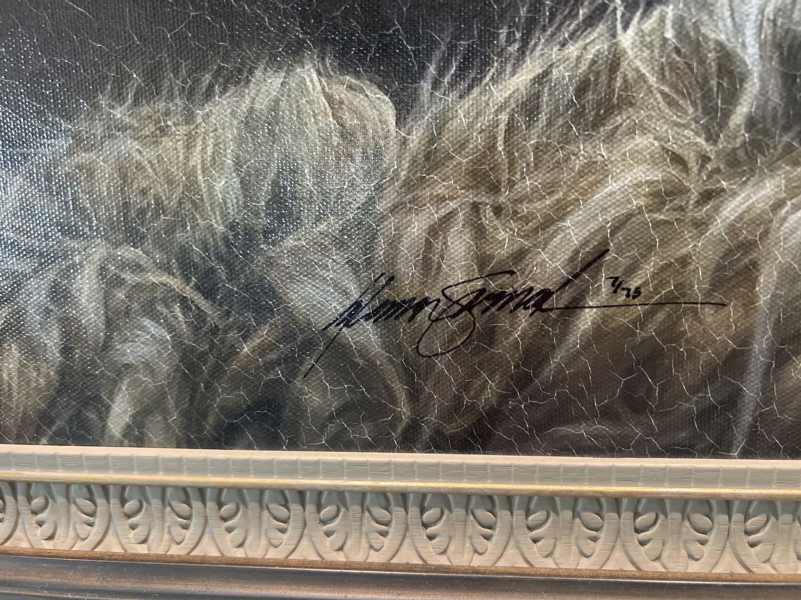 Main image 6