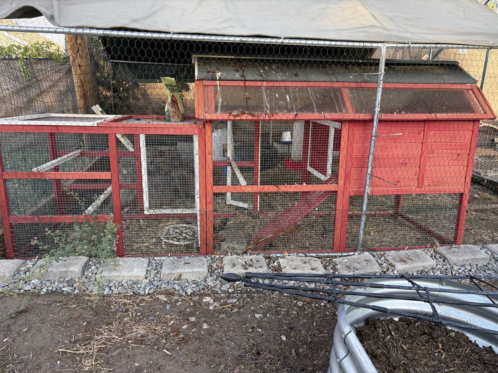 Large Red and White Wooden Chicken Coop with Run