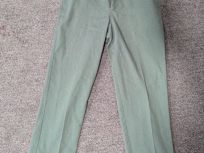 US Forest Service Pants (Green)