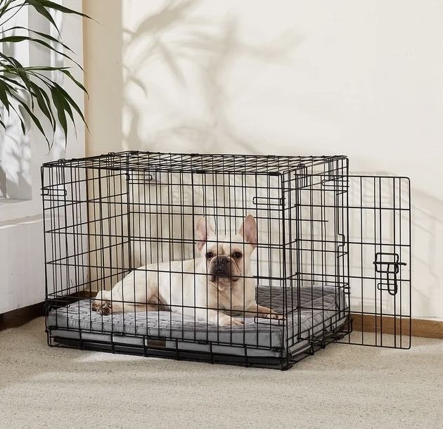 New Medium Orthopedic Egg Crate Foam Dog Beds