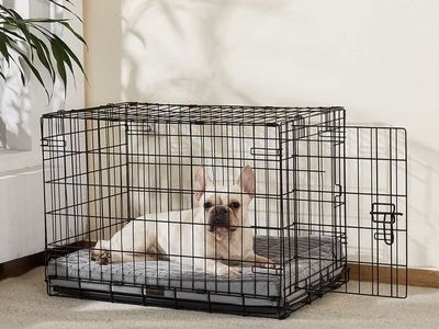 New Medium Orthopedic Egg Crate Foam Dog Beds