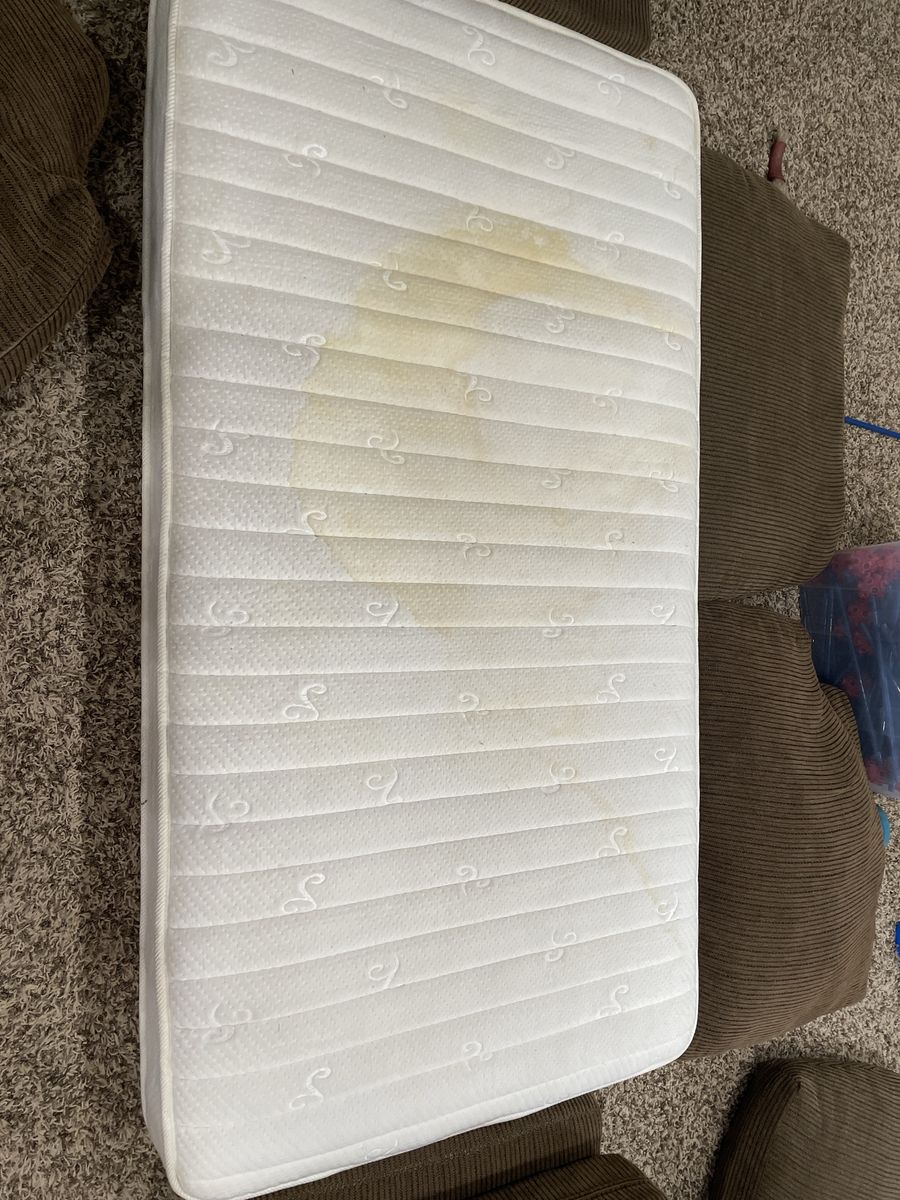 Signature Sleep Contour 8" Twin Size Mattress