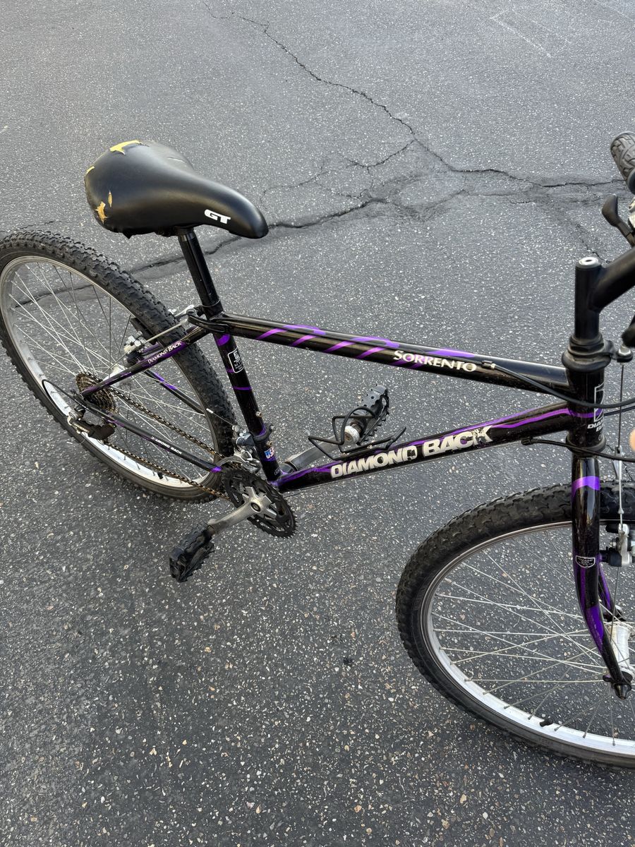 Mountain Bike