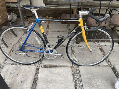 Trek 2100 Carbon Fiber Road Bike