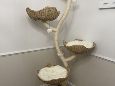 Unused DELUXE Cat Tree—Need Gone ASAP