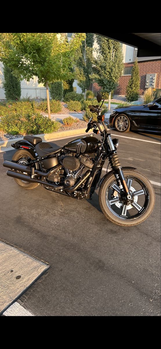 2024 Harley Street Bob