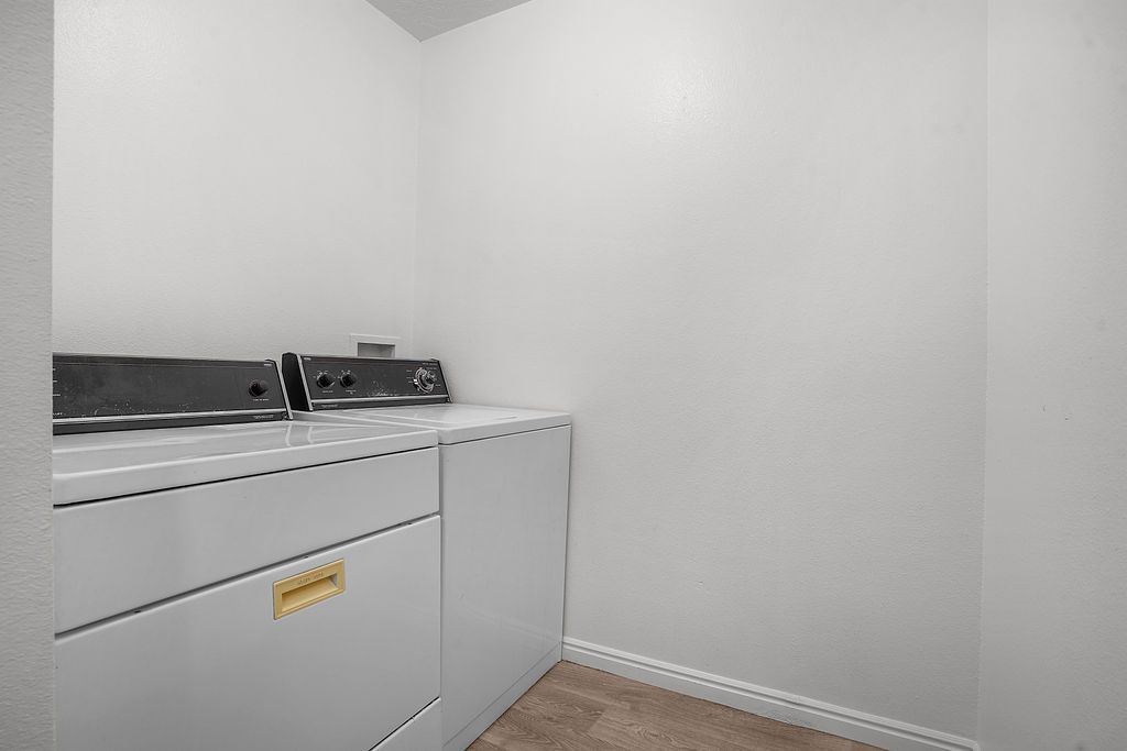 Main image 15