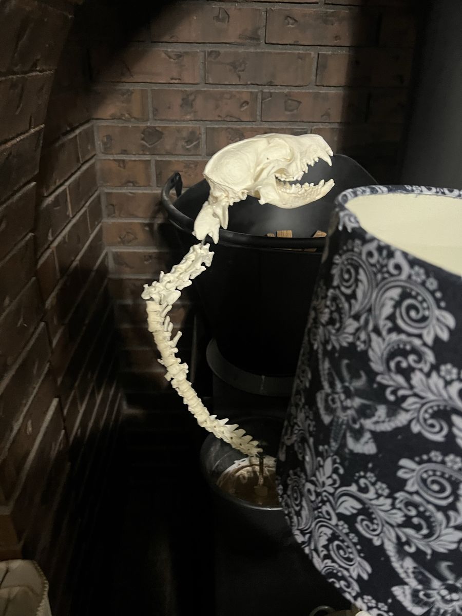 Main image 7