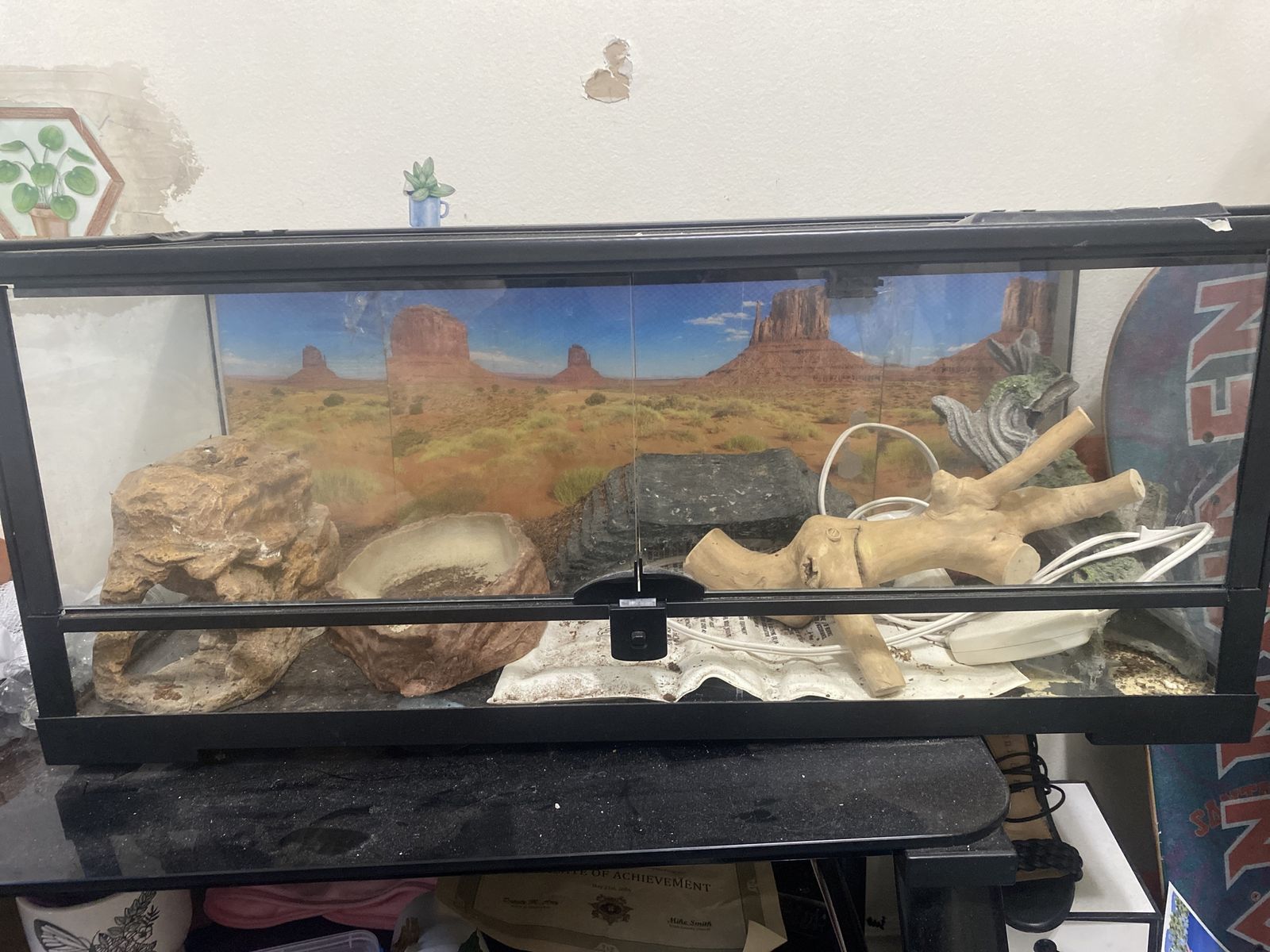 Bearded dragon tank