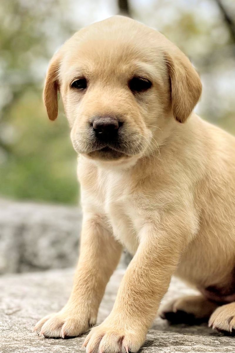 Main image 5