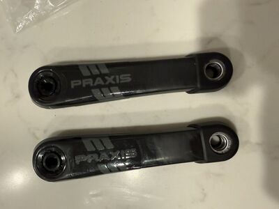 Praxis Carbon Cranks Fazua Ride 60