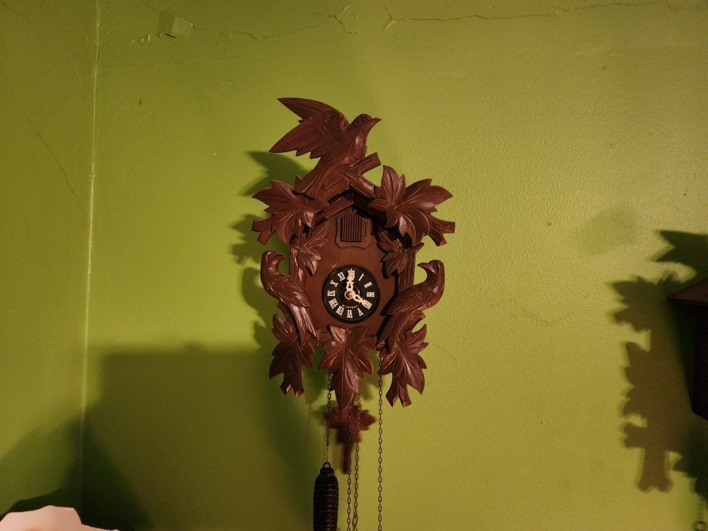 Nice little German Cuckoo