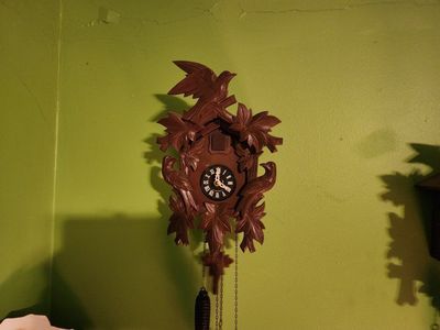 Nice little German Cuckoo