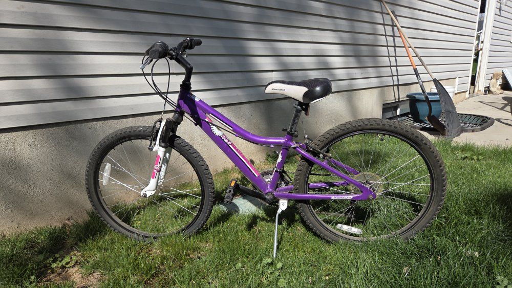 Diamondbacks 24 moving sale