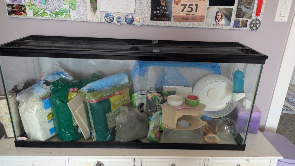 Small Animal Supplies – Gerbil, Hamster, Mouse, Guinea Pig, Rat, Etc. (Tank Listed Separately)