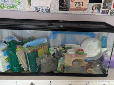 Small Animal Supplies – Gerbil, Hamster, Mouse, Guinea Pig, Rat, Etc. (Tank Listed Separately)