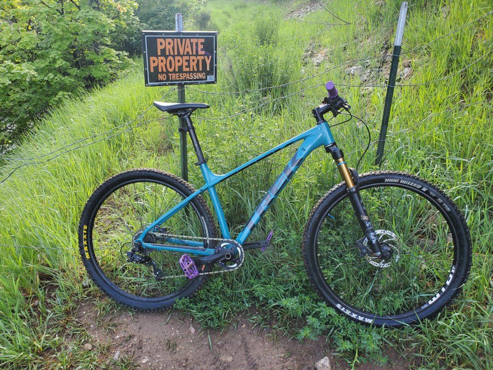 2020 Upgraded Trek Hardtail (Large)