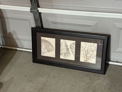 Vintage Style Marine Scientific Illustration Triple Framed Art Piece