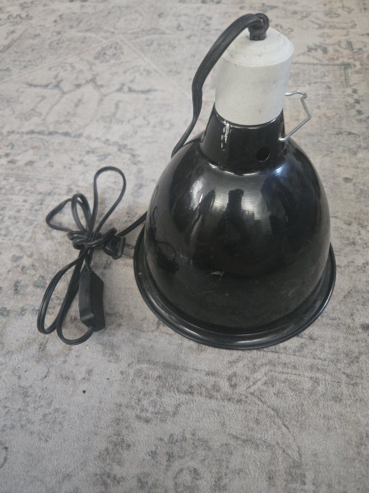large dome light for heat lamp or uvb bulb