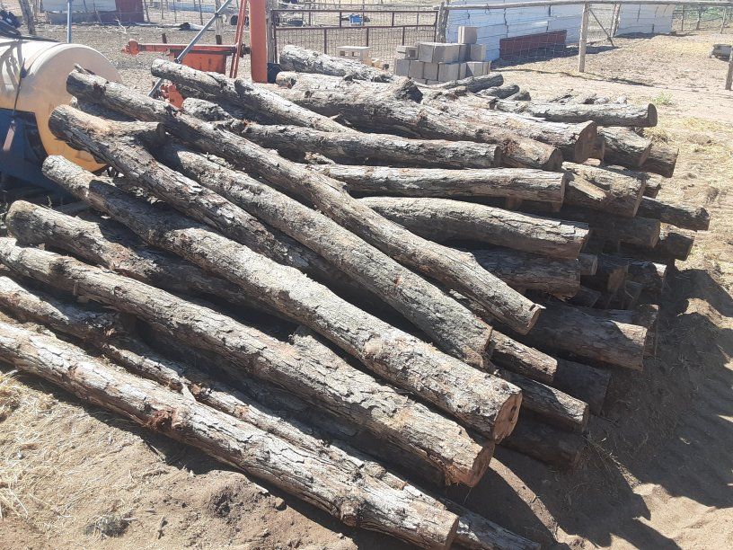 white oak fence posts