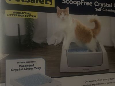 Pet Safe Scoop Free Crystal