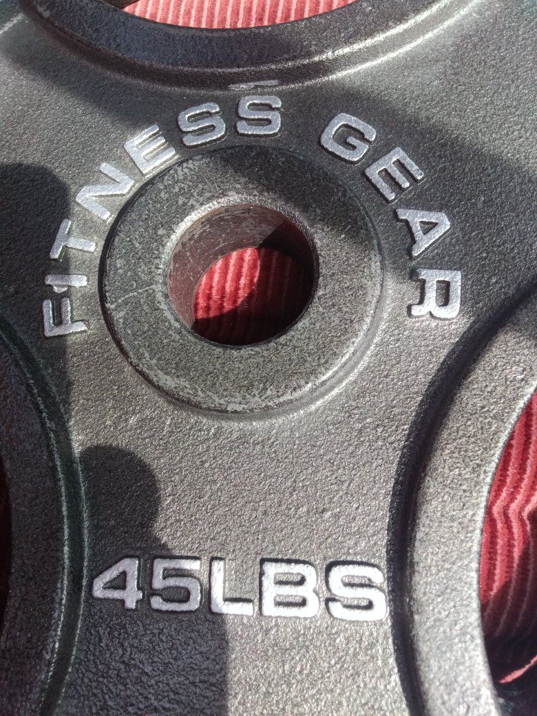 Fitness Gear 45 lb Weight Plate New!