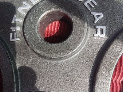 Fitness Gear 45 lb Weight Plate New!