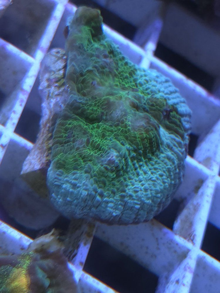 Main image 21