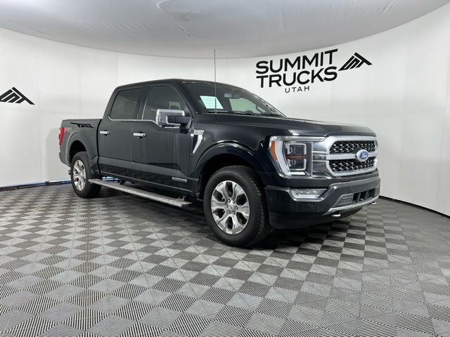 2021 Ford F-150 Platinum