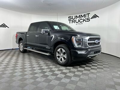 2021 Ford F-150 Platinum