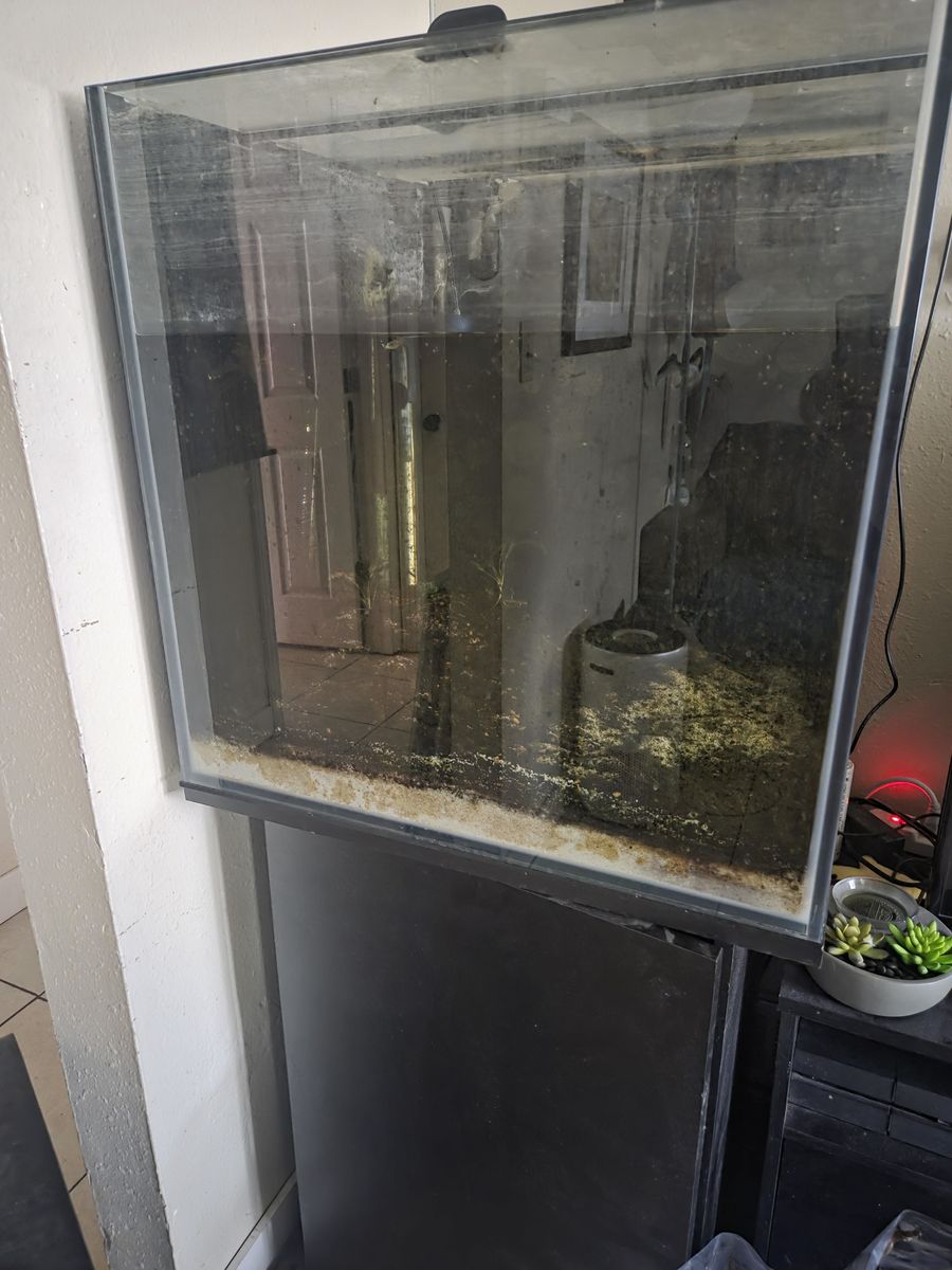 Aquarium setup good for aquascaping